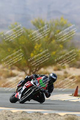 media/Apr-10-2022-SoCal Trackdays (Sun) [[f104b12566]]/Turn 5 Tree of Life (1040am)/